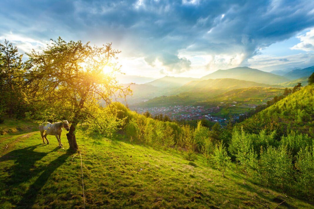 statiunea-balneoclimaterica-sangeorz-bai:-destinatie-pentru-relaxare-si-vindecare statiunea-balneoclimaterica-sangeorz-bai:-destinatie-pentru-relaxare-si-vindecare
