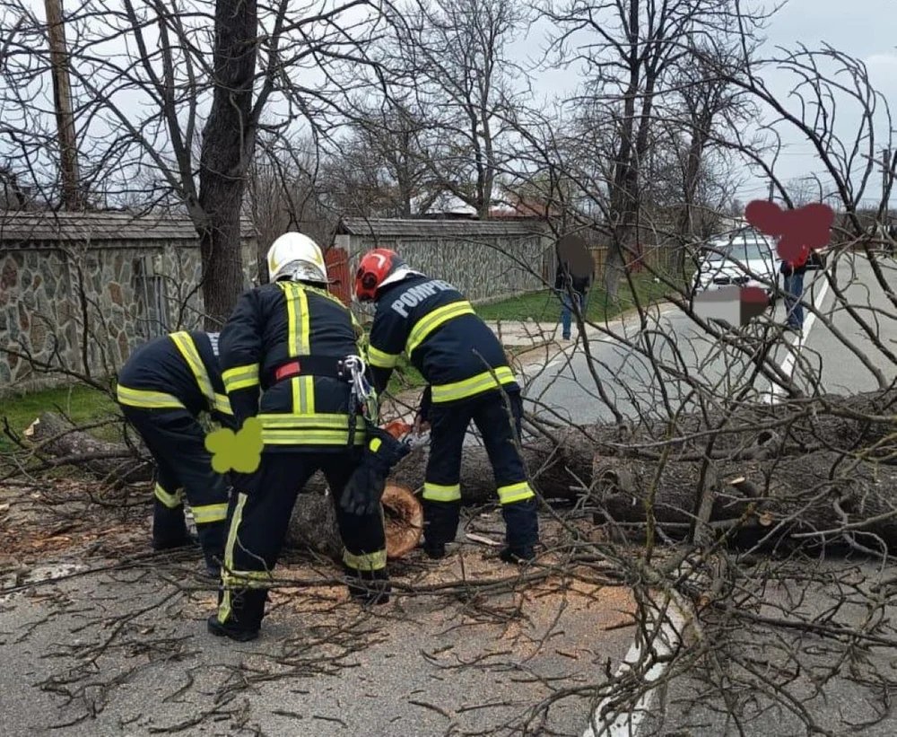 vijelia-a-facut-ravagii-in-sase-judete:-copaci-si-stalpi-doborati-si-acoperisuri-smulse vijelia-a-facut-ravagii-in-sase-judete:-copaci-si-stalpi-doborati-si-acoperisuri-smulse