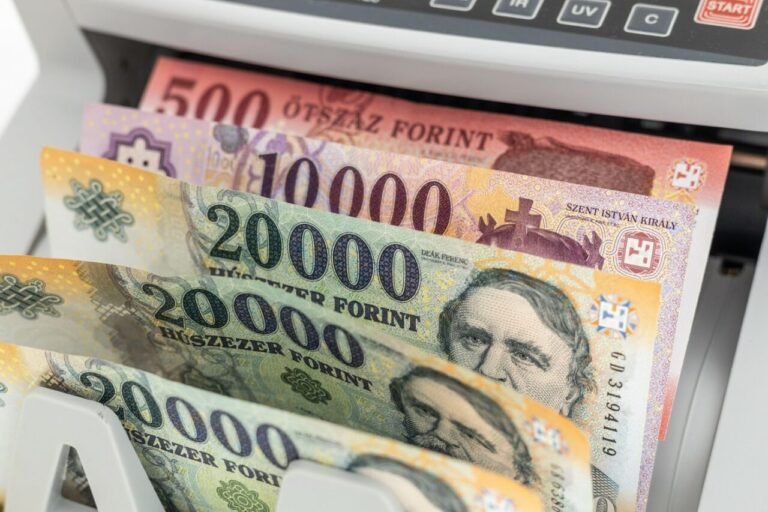 guvernul-lui-viktor-orban-anunta-inghetarea-unor-cheltuieli,-in-contextul-unui-deficit-record