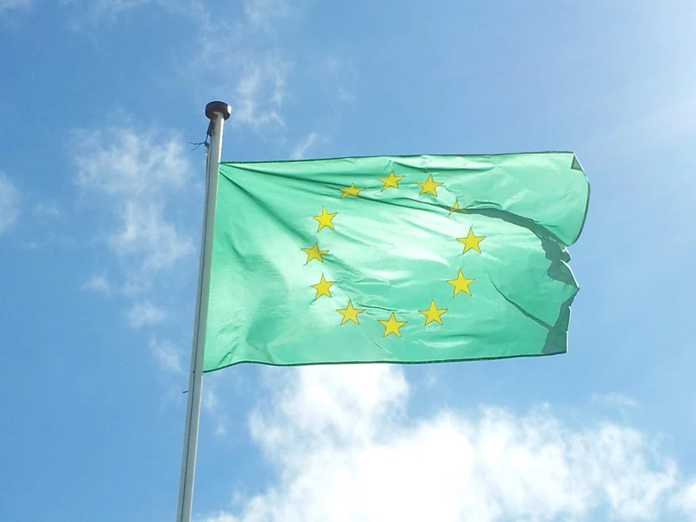 verzii-europeni-il-sustin-pe-nicusor-dan-in-turul-doi-al-alegerilor-prezidentiale