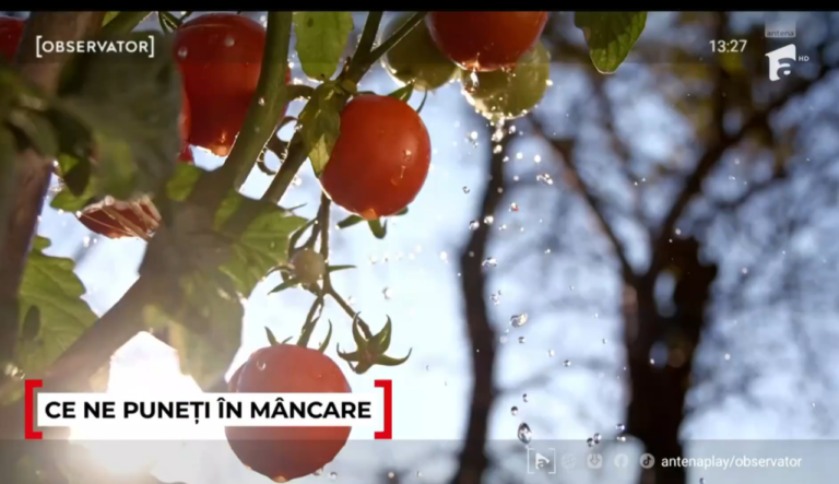 cum-ne-pot-pune-sanatatea-in-pericol-rosiile-cu-pesticide-cumparate-din-piata