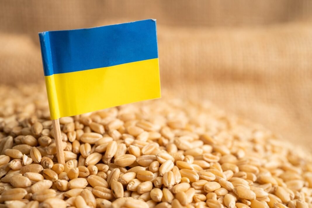 uniunea-europeana-majoreaza-cotele-de-import-pentru-anumite-produse-agricole-din-ucraina uniunea-europeana-majoreaza-cotele-de-import-pentru-anumite-produse-agricole-din-ucraina